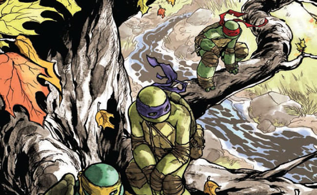 Teenage Mutant Ninja Turtles #29 Review