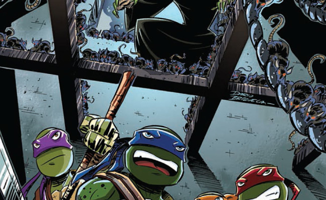 Teenage Mutant Ninja Turtles New Animated Adventures #8 Review