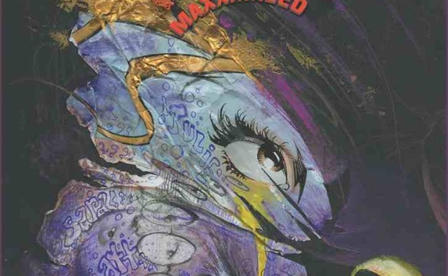 The Maxx: Maxximized #4 Review