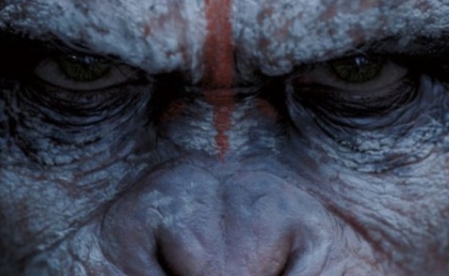 DAWN OF THE PLANET OF THE APES: A Journey Through The Fall Of Man