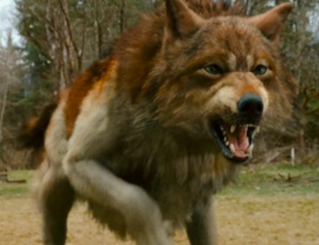I can’t stop watching The new “Breaking Dawn” Trailer…Should I be Ashamed?