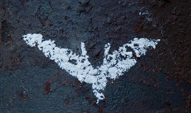 THE DARK KNIGHT RISES holds the top spot at the US Box Office